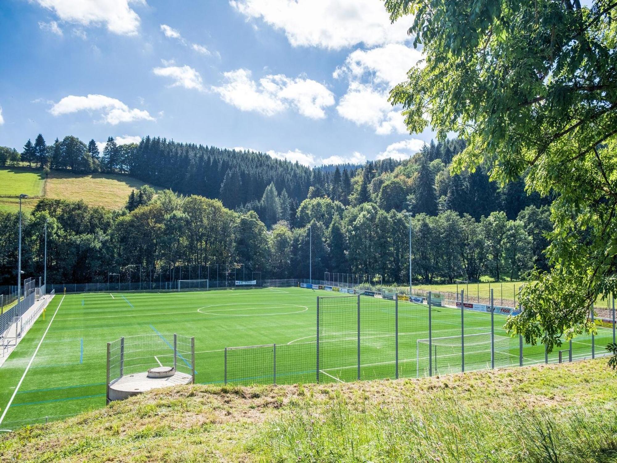 Modern Apartment In Schwalefeld With Garden Willingen  Zewnętrze zdjęcie