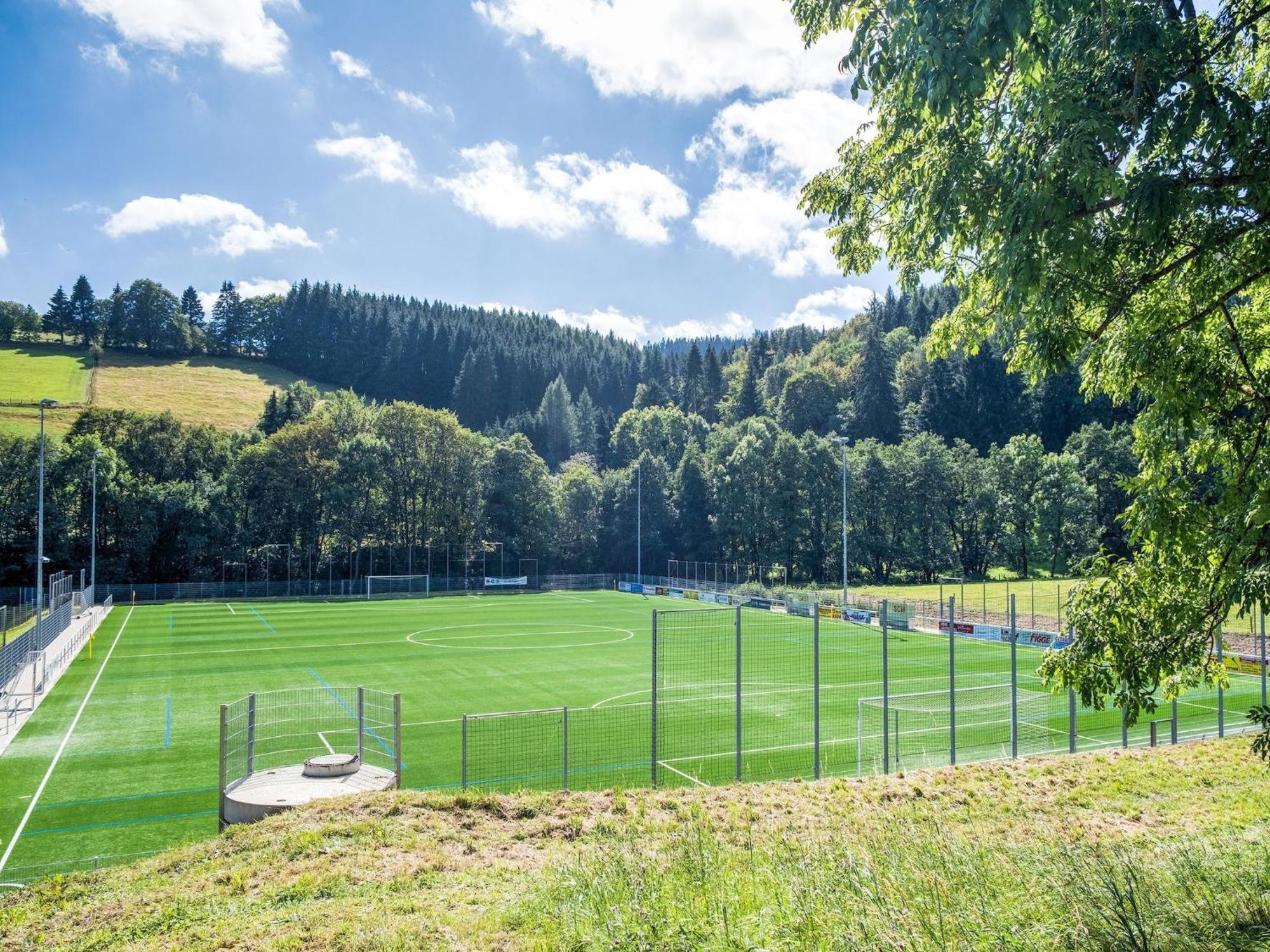 Modern Apartment In Schwalefeld With Garden Willingen  Zewnętrze zdjęcie